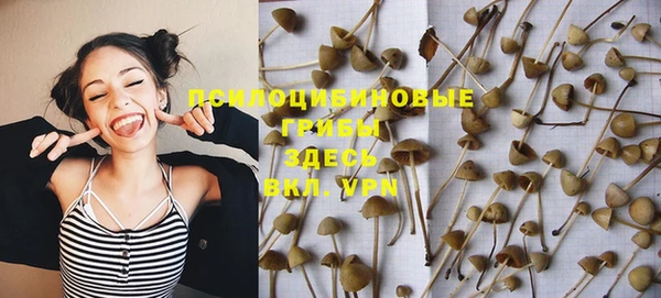 эйфоретик Армянск