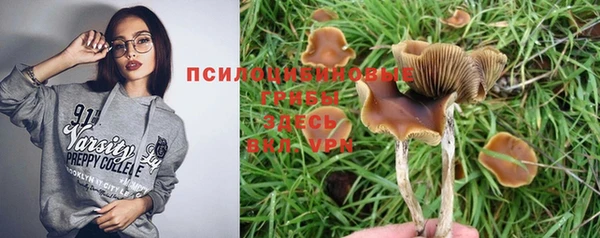 прущие грибы Арсеньев