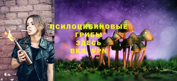 прущие грибы Арсеньев
