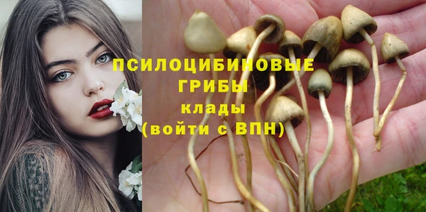 эйфоретик Армянск