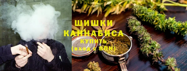 прущие грибы Арсеньев