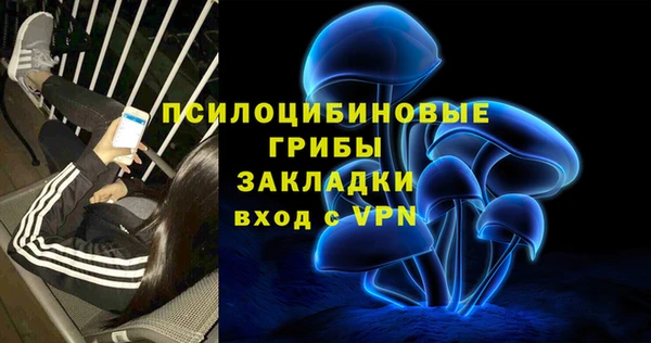 прущие грибы Арсеньев