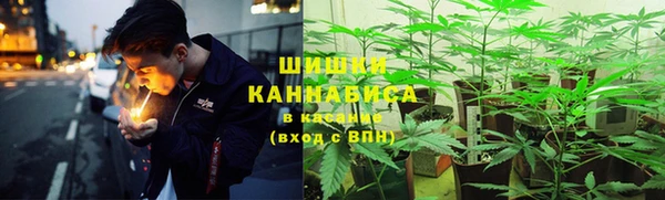 хмурый Балабаново